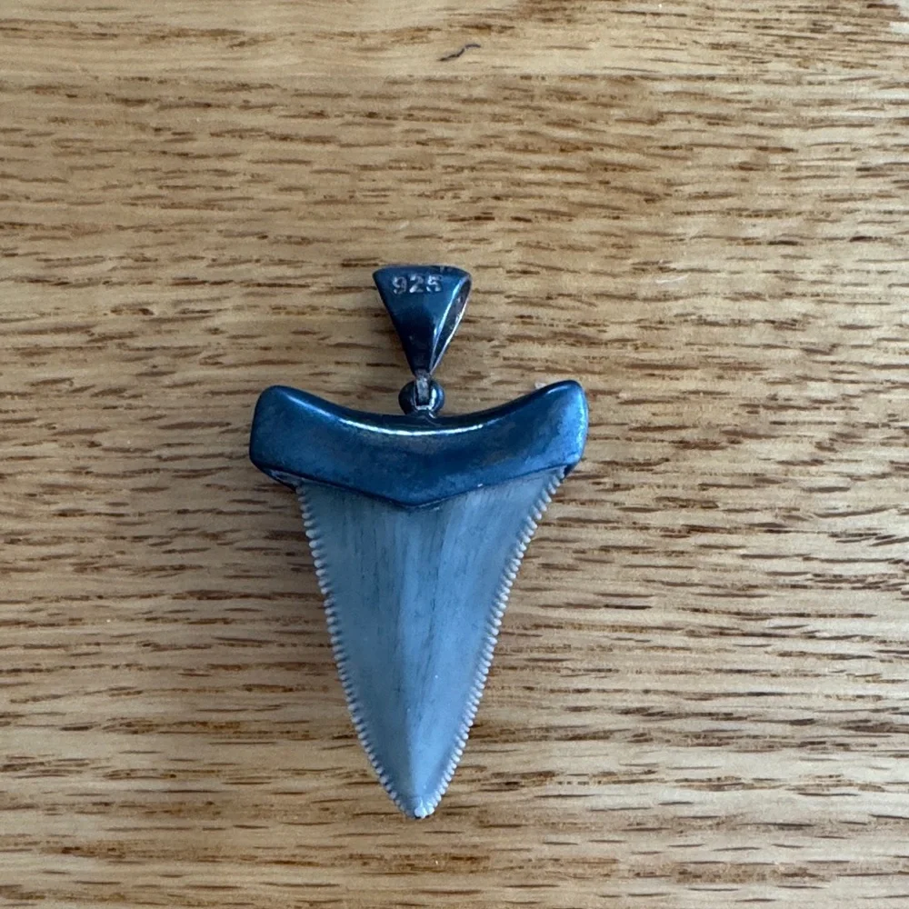 Stauer Men's Black Shark Tooth Pendant in Sterling Silver Setting NO CHAIN - Picture 3 of 6